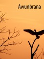 Wild in Arnhem - Australia - Mt Borradaile